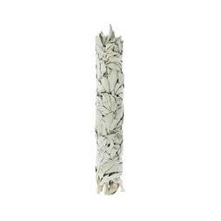 sauge, feuilles, rituel et purification