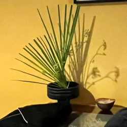Ikebana, pique-fleur 71 cm