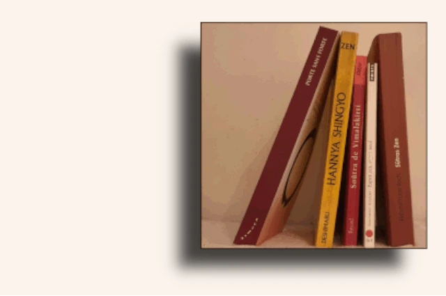 Boutique Zen - Livres